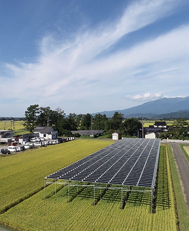 Solar Farm In Japan