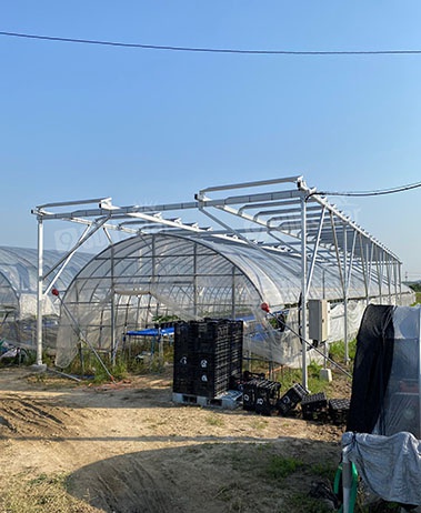 Solar Greenhouse In Japan