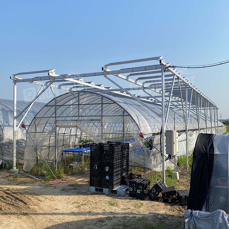 Design Solar Agricultural Greenhouse